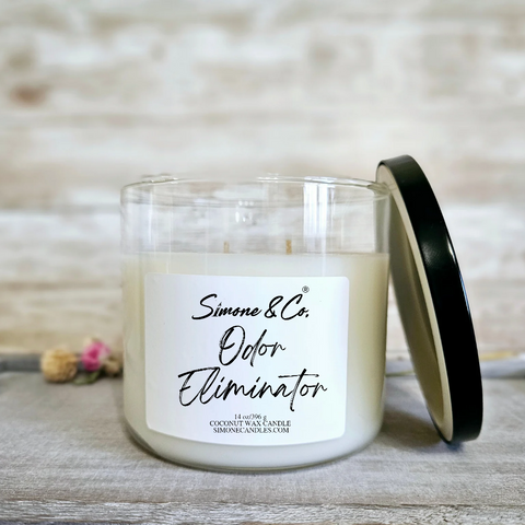 Odor Eliminator 2-Wick Candle